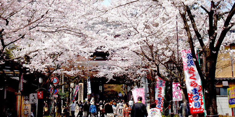 西国第三十三満願霊場 谷汲山華厳寺