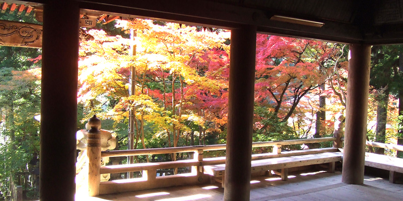 西国第三十三満願霊場 谷汲山華厳寺