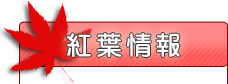 紅葉情報